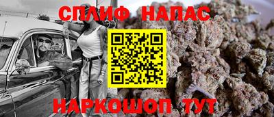 соль ск Новозыбков