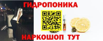 соль ск Новозыбков