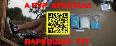 соль ск Новозыбков