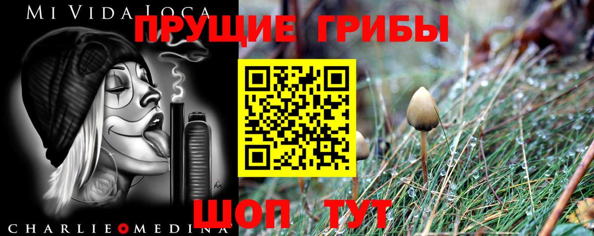 Заводоуковск  Псилоцибиновые грибы Psilocybe  Вход с VPN 
