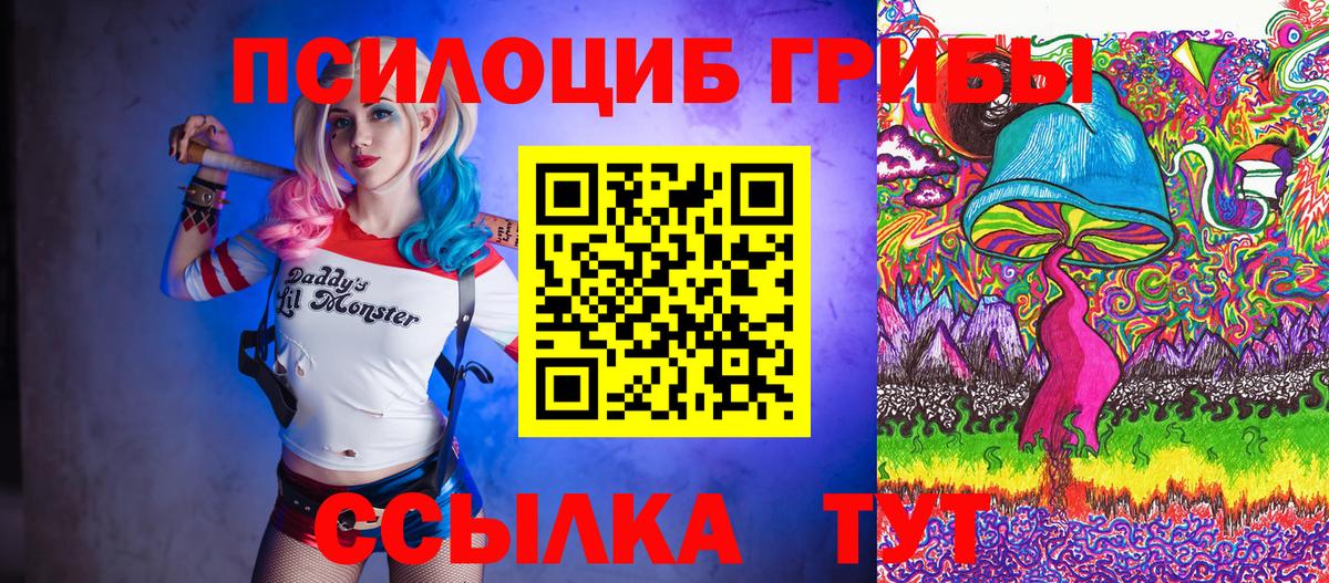 Галлюциногенные грибы прущие грибы Заводоуковск